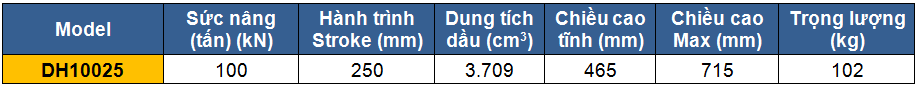 Kích 2 chiều rỗng tâm 100 tấn 250 mm, Double acting hollow piston cylinders, kich 100 tan 250 mm